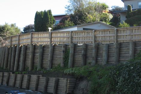 Photo of property in 57 Tanner Street, Havelock North, 4130