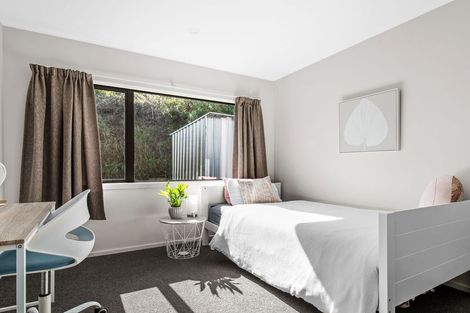 Photo of property in 32 Rivers Street, Alexandra, 9320