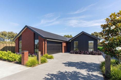 Photo of property in 11a Emery Place, Papamoa Beach, Papamoa, 3118