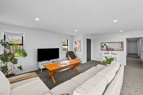 Photo of property in 20 David Street, Hinds, Ashburton, 7773