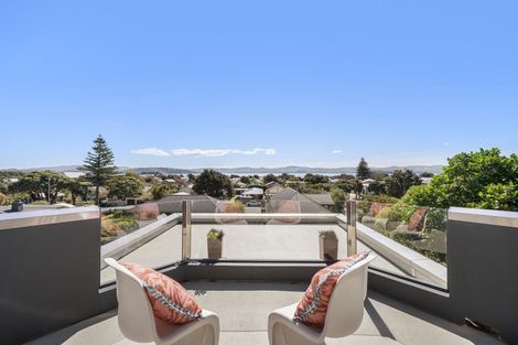 Photo of property in 203 Muritai Road, Eastbourne, Lower Hutt, 5013