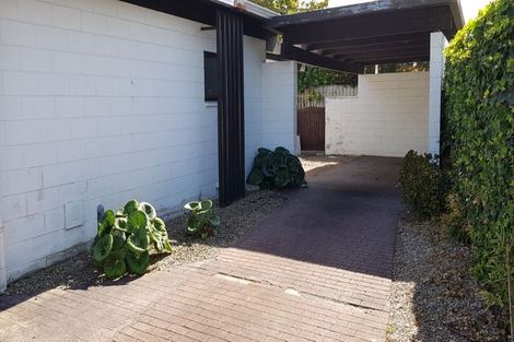 Photo of property in 124c Galloway Street, Hamilton East, Hamilton, 3216