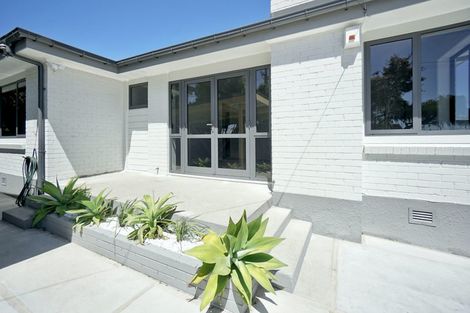 Photo of property in 21 Cameron Road, Te Puke, 3119