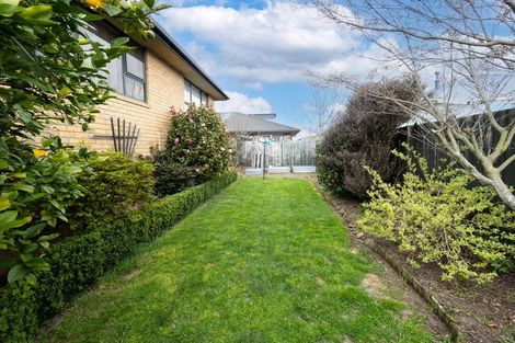Photo of property in 25 Peter Street, Ashburton, 7700