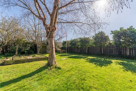 Photo of property in 41 Connolly Street, Geraldine, 7930