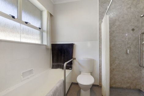 Photo of property in 205 Tiro Tiro Road, Levin, 5510