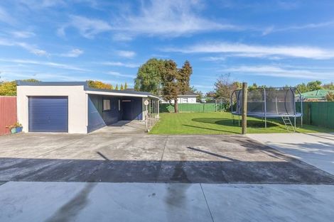 Photo of property in 29 Graham Street, Levin, 5510