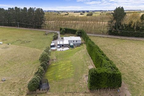 Photo of property in 501 Halcombe Road, Feilding, 4775