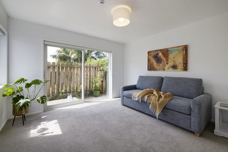 Photo of property in 75b Campbell Road, Mount Maunganui, 3116