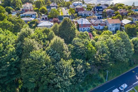 Photo of property in 20a Mcgeorge Avenue, Mornington, Dunedin, 9011