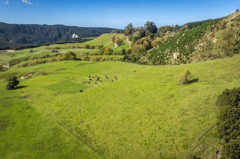 Photo of property in 888 Kakariki Farm Road, Kotemaori, 4188