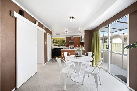 Photo of property in 17 Lancaster Street, Dinsdale, Hamilton, 3204