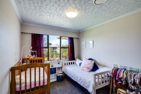 Photo of property in 6 Jarvis Place, Taradale, Napier, 4112