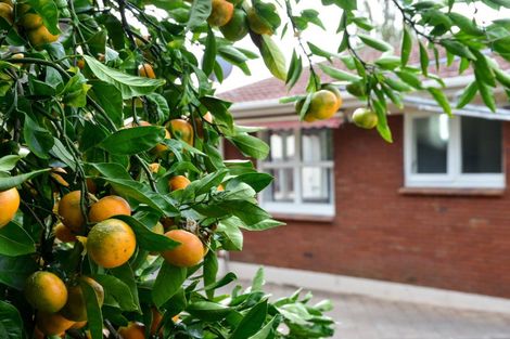 Photo of property in 250 Ohaupo Road, Glenview, Hamilton, 3206