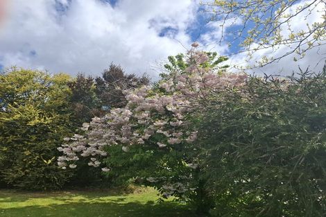 Photo of property in 65 Rhodes Street, Waimate, 7924