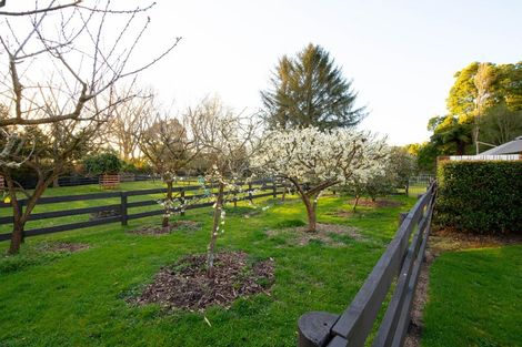 Photo of property in 191b Tauwhare Road, Tamahere, Hamilton, 3283