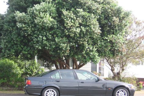 Photo of property in 13 Hobart Street, Miramar, Wellington, 6022