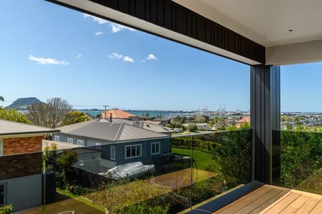 Photo of property in 58a Hinewa Road, Otumoetai, Tauranga, 3110