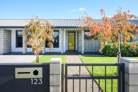 Photo of property in 123 Pharazyn Street, Feilding, 4702