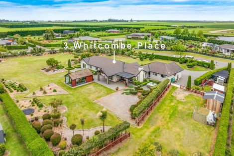 Photo of property in 3 Whitcombe Place, Darfield, 7571