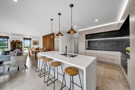 Photo of property in 22a Larlin Drive, Hawera, 4675