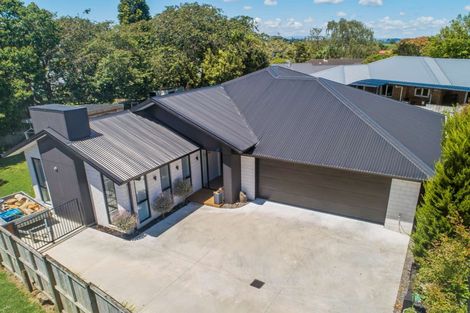 Photo of property in 101 Te Tomo Street, Te Awamutu, 3800