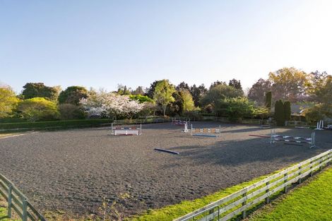 Photo of property in 365 Maungatautari Road, Cambridge, 3494