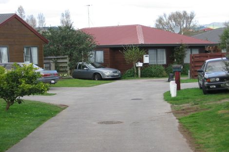 Photo of property in 10a College Place, Poike, Tauranga, 3112