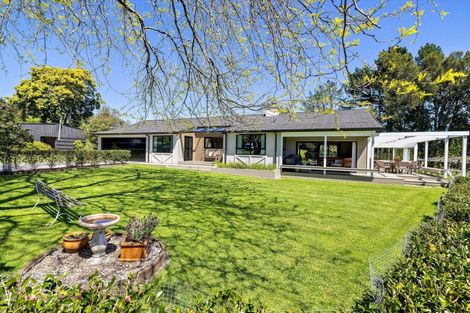 Photo of property in 668 Pyes Pa Road, Pyes Pa, Tauranga, 3173