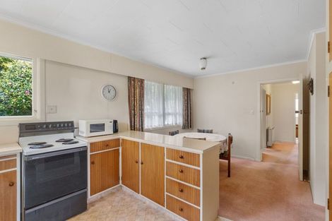 Photo of property in 76 Winchester Street, Levin, 5510