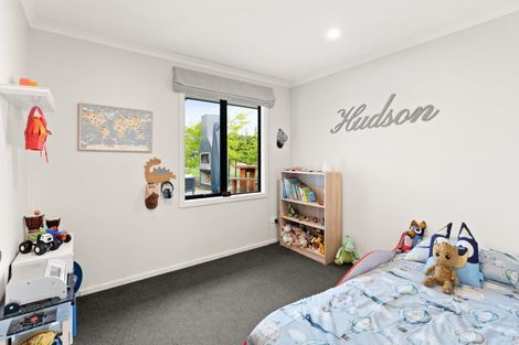 Photo of property in 13 Three Kings Court, Outram, 9019