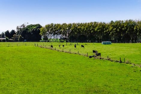 Photo of property in 724 Ararata Road, Ararata, Hawera, 4674