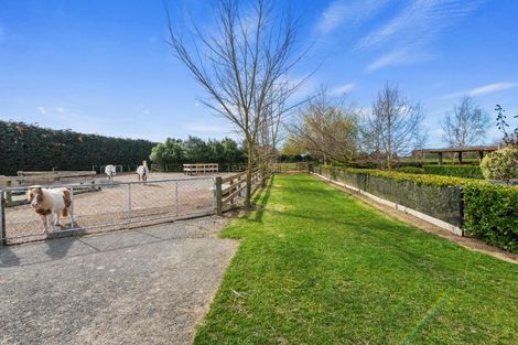 Photo of property in 1423 Coaltrack Road, Greendale, Christchurch, 7671