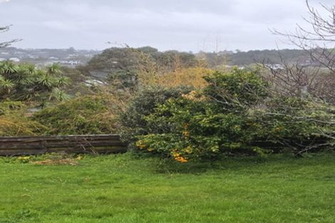 Photo of property in 93 Coronation Road, Hillcrest, Auckland, 0627