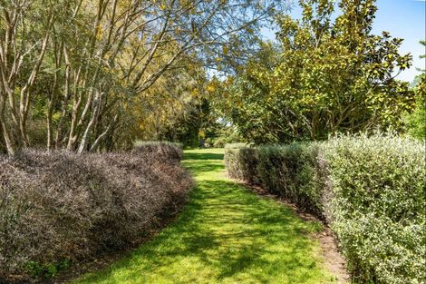 Photo of property in 213 Te Whiti Road, Homebush, Masterton, 5885
