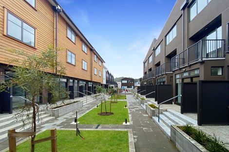 Photo of property in Aniva Terrace, 15 Arney Street, Newtown, Wellington, 6021