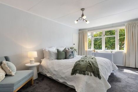 Photo of property in 117 Fairfield Road, Fairfield, Hamilton, 3214