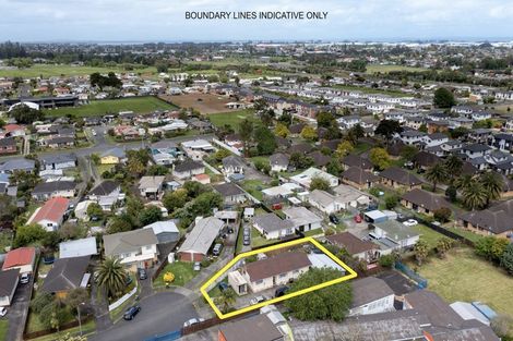 Photo of property in 24 Bingara Place, Favona, Auckland, 2024