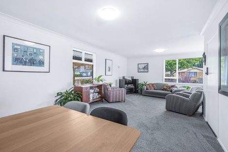 Photo of property in 15 Glenview Terrace, Glenview, Hamilton, 3206