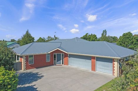 Photo of property in 31 Suffolk Street, Hampstead, Ashburton, 7700
