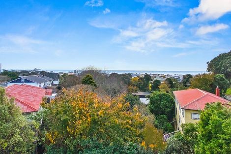 Photo of property in 49 Cameron Street, New Plymouth, 4310