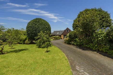 Photo of property in 9 Hinewa Road, Otumoetai, Tauranga, 3110