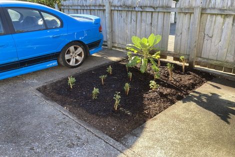 Photo of property in 87 Queens Drive, Lyall Bay, Wellington, 6022