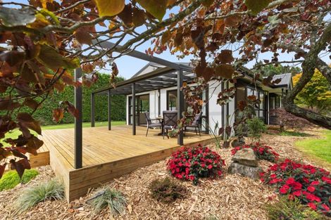 Photo of property in 527 Omanawa Road, Omanawa, Tauranga, 3171