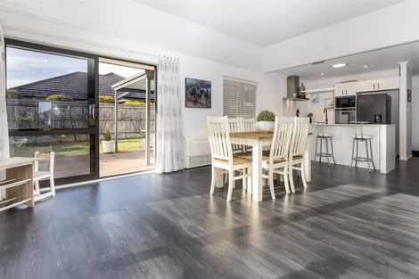 Photo of property in 135 Taylor Pass Road, Witherlea, Blenheim, 7201