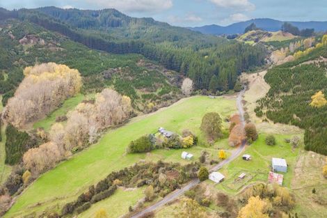 Photo of property in 424 Tapuiwahine Road, Otangiwai, Ongarue, 3997