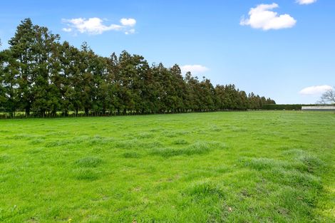 Photo of property in 14 Pukerimu Lane, Cambridge, 3495