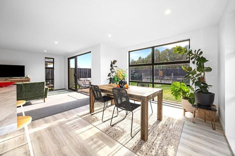 Photo of property in 43 Henshaw Street, Woodend, 7610