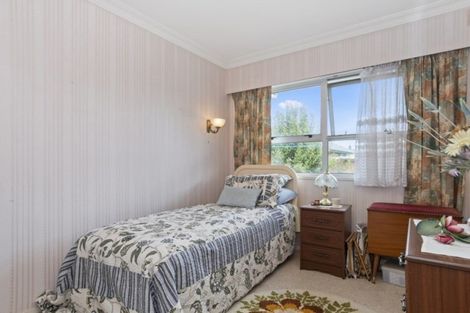 Photo of property in 224 Fourteenth Avenue, Tauranga South, Tauranga, 3112
