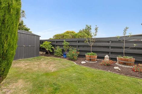 Photo of property in 11 Opawa Place, Terrace End, Palmerston North, 4410